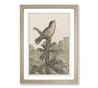 Singing Bird On Pine Tree by Theo Van Hoytema Framed Print | A2 Oak Framed Wall Art | Ready to Hang | Modern Floral Picture | Living Room Bedroom Lounge Office