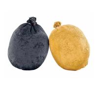 Singing Rock Magnum Chalkball 2 Units