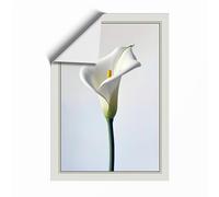 Single Calla Lily Botanical Unframed Wall Art Print A3 (42×29.7cm), Wall Decor for Living Room, Bedroom, Office & Home, Art Gift