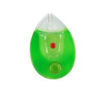 Single Cell Chlamydomonas Model Plant Anatomical Biology Science Biology Teaching Tool for Medicals Research Chlamydomonas Practical Plant Anatomical for Teaching Demonstration