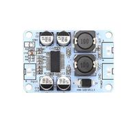 Single Channel Digital Sound Power Amplifier Module 30W Output Low Energy Use 30W Output Low Power Consumption PBTL Single Sound Increaser