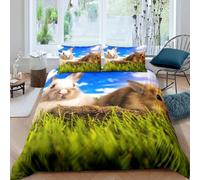 Single Duvet Cover Set Rabbit Soft Microfibre Bedding Set 3D Printed Cute Animals and Pets Quilt Cover 150x200 cm with Zipper Closure with 2 Pillowcases 50x75 cm g.4407