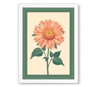 Single Gerbera Specimen Botanical Framed Wall Art Print A1 (84.1×59.4cm) White, Wall Decor for Living Room, Bedroom, Office & Home, Ready to Hang, Art Gift