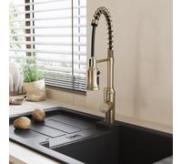Single Handle Kitchen Faucet with Spring Spout