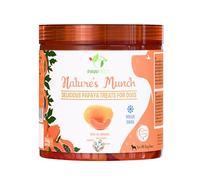 Single Ingredient Vegan Treats: Papaya (25g/0.88oz) Pet Jar