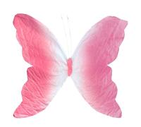 Single Layer Gradient Color Clip On Butterflies Not Require Tools For Dynamic Window Displays And Home Parties Commercial Window Visual Merchandising
