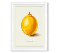 Single Lemon Study Botanical Framed Wall Art Print A3 (42×29.7cm) White, Wall Decor for Living Room, Bedroom, Office & Home, Ready to Hang, Art Gift