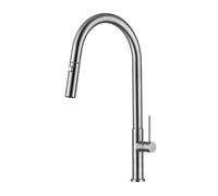 Single-Lever Swivel Spout Kitchen Mixer Tap with Pull-Out Spray, 2 sprays, Stainless Steel Look (SATBSD288)
