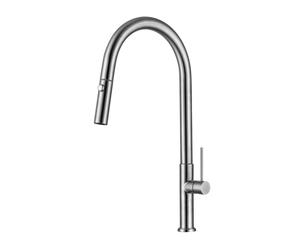 Single-Lever Swivel Spout Kitchen Mixer Tap with Pull-Out Spray, 2 sprays, Stainless Steel Look (SATBSD288)