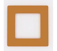 Single Light Switch Socket Coloured Acrylic Surround Finger Plate - Huge Colour Choice (Orange)