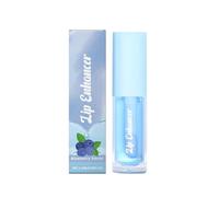 Single Lip Balm with Fruit Flavor Enriched with Vitamin C,24H Long Lasting Keep Moisturizing and Hydrating for Dry Cracking Lips,Lip Enhancer,Makeup Lip Care Cosmetics for Girls (Blueberry Flavor)