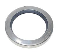 Single Lip Stainless Steel Oil Seals 75mm x 100mm x 10mm, Durable Sealing Solution for Industrial Applications, 75 * 100 * 10 Oil Seals