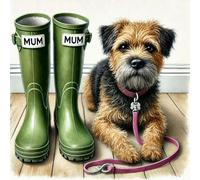 Single Luxury Border Terrier Mothers Day/Birthday Card - Blank Inside
