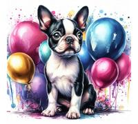 Single Luxury Boston Terrier Birthday Greeting Blank Card