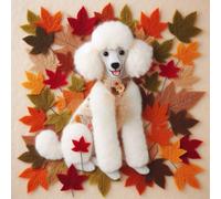 Single Luxury White Poodle Birthday Card (AUT)