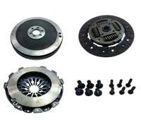 Single Mass Flywheel VW Golf V/VI, Passat, Touran, Caddy, Jetta