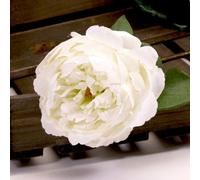Single Peony 68Cm 2 Pack - Cream