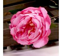 Single Peony 68Cm 2 Pack - Dark Pink