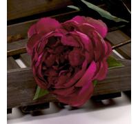 Single Peony 68Cm 2 Pack - Magenta