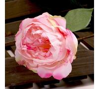 Single Peony Soft 68Cm 2 Pack - Pink