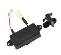 Single Phase AVR for Generator 2KW 3KW Power Automatic Voltage Regulator Black Electric Start Easy Install with Carbon Brush Fuel Filter(A)
