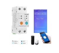 Single Phase Din Rail WIFI Smart Switch Energy Meter Leakage Protection Remote Read KWh Meter Wattmeter Works with Alexa Google 2P 63A