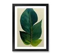 Single Plant Leaf No.2 Framed Print | A3 Black Framed Wall Art | Ready to Hang | Modern Floral Picture | Living Room Bedroom Lounge Office