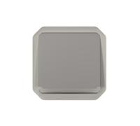 Single Pole Button Backlit NEW PLEXO 55 069542L