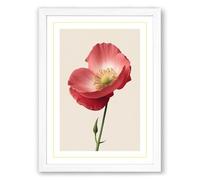 Single Poppy in Bloom Botanical Framed Wall Art Print A3 (42×29.7cm) White, Wall Decor for Living Room, Bedroom, Office & Home, Ready to Hang, Art Gift