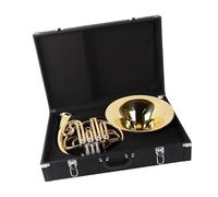 Single Row Four Key French Horn In B Flat Universal Wind Instrument For Adults Beginners And Students. Professional French Horn