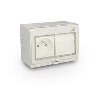 Single socket + double connector surface-mounted GPW2N IP55 55.29