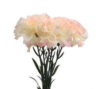 Single stem artificial carnation flower for adding natural floral beauty to baskets, vases and indoor spaces on marketplace (Rosy)