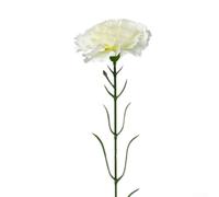 Single stem artificial carnation flower for adding natural floral beauty to baskets, vases and indoor spaces on marketplace (Creamy white)
