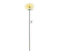 Single Stem Artificial Gerbera Daisy Flower x 50cm Tall - Large Colour Choice (Ivory)