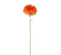 Single Stem Artificial Gerbera Daisy Flower x 50cm Tall - Large Colour Choice (Orange)