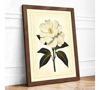 Single Stem in White Botanical Framed Wall Art Print A4 Walnut | Ready to Hang, Premium Gi Paper, Fade-Resistant Inks, Securely Packaged, UK Made