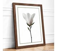 Single Stem in White Botanical Framed Wall Art Print A4 Walnut | Ready to Hang, Premium Gi Paper, Fade-Resistant Inks, Securely Packaged, UK Made