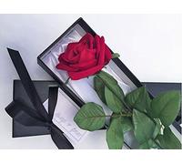 Single Stem Romantic Red Rose in a Silk Lined Black Presentation Gift Box including " Always & Forever " Gift Card. (Sassi)