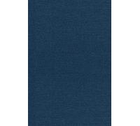 Singular Integrals and Differentiability Properties of Functions (PMS-30), Volume 30 (Princeton Mathematical Series, 30)
