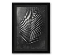 Singular Palm Study Botanical Framed Wall Art Print A3 (42×29.7cm) Black, Wall Decor for Living Room, Bedroom, Office & Home, Ready to Hang, Art Gift