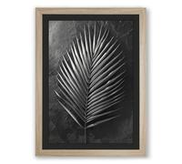 Singular Palm Study Botanical Framed Wall Art Print A3 (42×29.7cm) Oak, Wall Decor for Living Room, Bedroom, Office & Home, Ready to Hang, Art Gift