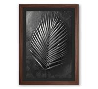 Singular Palm Study Botanical Framed Wall Art Print A3 (42×29.7cm) Walnut, Wall Decor for Living Room, Bedroom, Office & Home, Ready to Hang, Art Gift