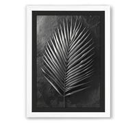 Singular Palm Study Botanical Framed Wall Art Print A4 (29.7×21cm) White, Wall Decor for Living Room, Bedroom, Office & Home, Ready to Hang, Art Gift