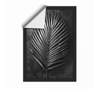 Singular Palm Study Botanical Unframed Wall Art Print A1 (84.1×59.4cm), Wall Decor for Living Room, Bedroom, Office & Home, Art Gift