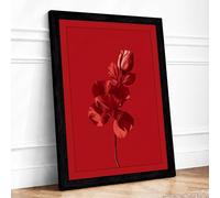 Singular Red Bloom Botanical Framed Wall Art Print A2 Black