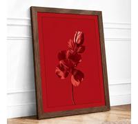 Singular Red Bloom Botanical Framed Wall Art Print A2 Walnut