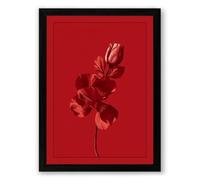 Singular Red Bloom Botanical Framed Wall Art Print A4 (29.7×21cm) Black, Wall Decor for Living Room, Bedroom, Office & Home, Ready to Hang, Art Gift