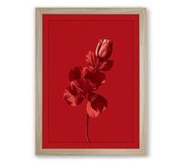 Singular Red Bloom Botanical Framed Wall Art Print A4 (29.7×21cm) Oak, Wall Decor for Living Room, Bedroom, Office & Home, Ready to Hang, Art Gift