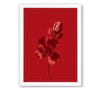 Singular Red Bloom Botanical Framed Wall Art Print A4 (29.7×21cm) White, Wall Decor for Living Room, Bedroom, Office & Home, Ready to Hang, Art Gift