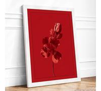 Singular Red Bloom Botanical Framed Wall Art Print A4 White